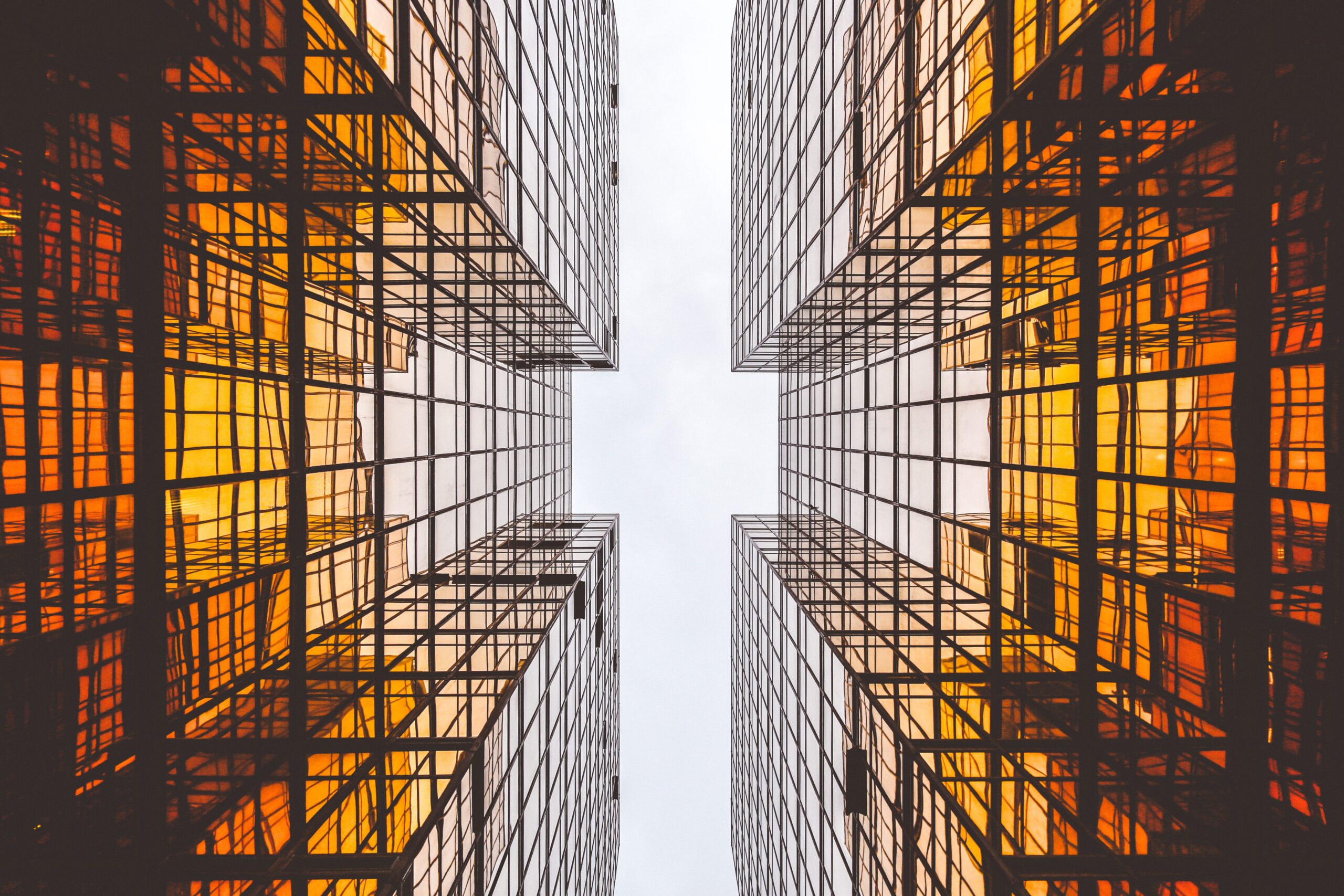 Bureaux du futur